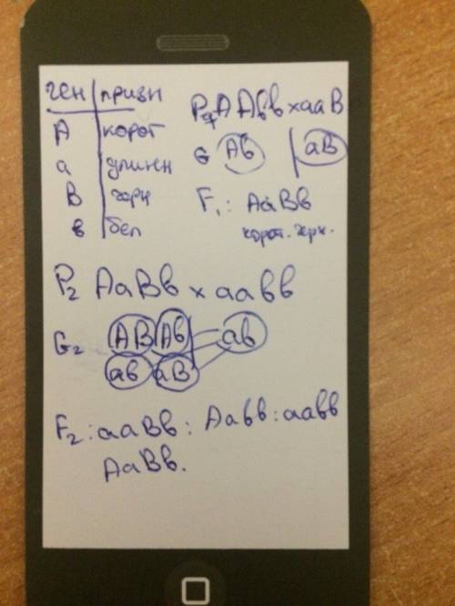 Произведено два скрещивания между короткошерстными (а) и длинношерстными (а) кроликами имеющую черну
