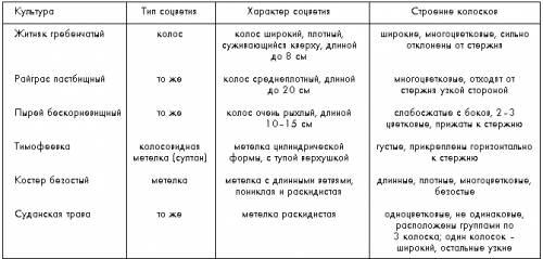 Дайте характеристику соцветиям 5 растений! ?