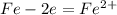 Fe - 2e = Fe^{2+}