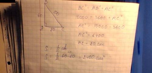 Катет прямоугольного треугольника равен 60 см, а гипотенуза равна 100 см. найди площадь треугольника