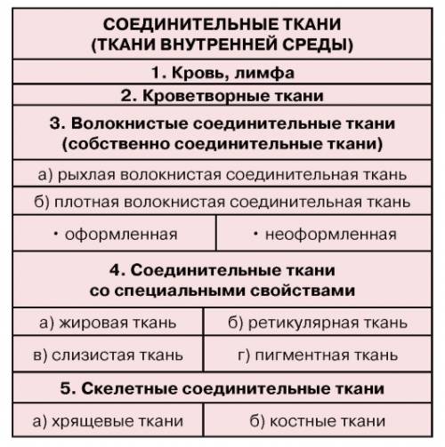 Вчем сходство всех типов соединильной ткани