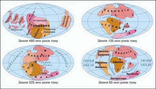 Дайте карту літосферних плит , будь ласка