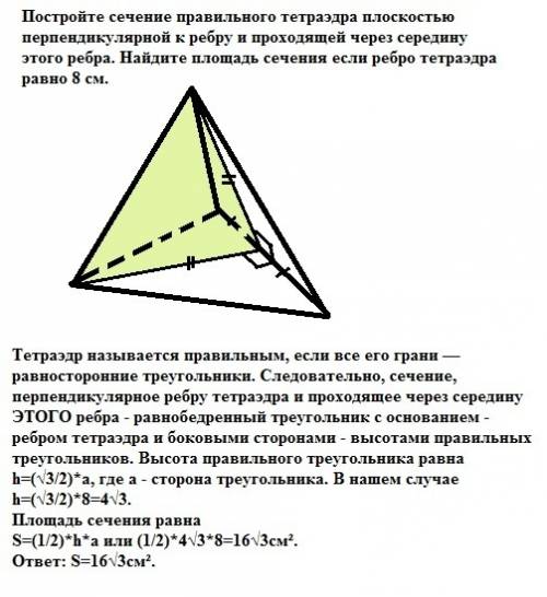 Постройте сечение правильного тетраэдра плоскостью перпендикулярной к ребру и проходящей через серед