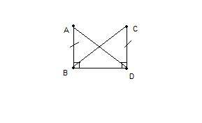 2)отрезки ab=cd равны и перпендикулярны отрезку bd.докажите, что ad=cb.