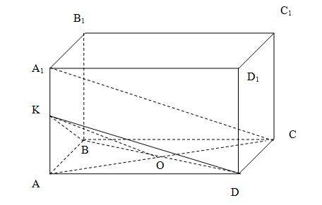 Впараллелепипеде авсд а1в1с1д1 постройте сечение .проходящее через прямую вд параллельно прямой а1с