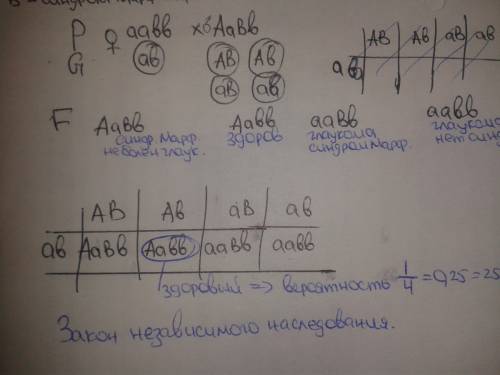 Учеловека глаукома наследуется как аутосомно-рецессивный признак (а), а синдром марфана, аномалией в