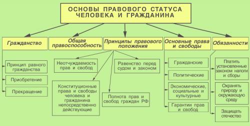 Чем определяется правовой статус человека и кратко