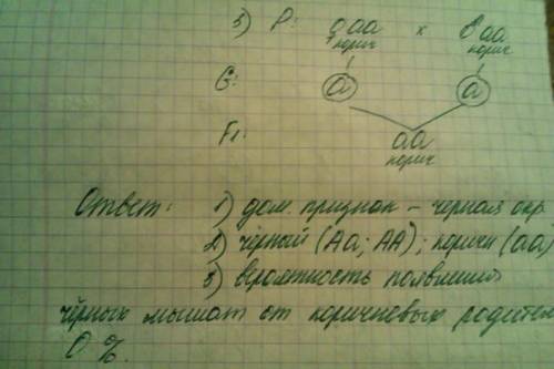 Решить все с правильным оформлением 1 две черные мыши родили от коричневого самца потомство. одна 25