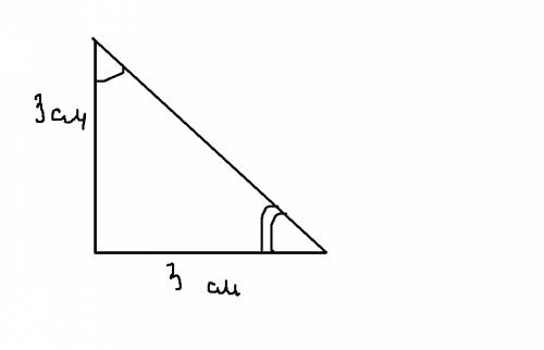 Начерти прямоугольный треугольник, у которого две стороны, образующие прямой угол, имеют длину по 3с