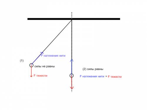 Шар, подвешенный на нити, отвели в сторону и отпустили.назовите и изобразите на чертеже силы, действ