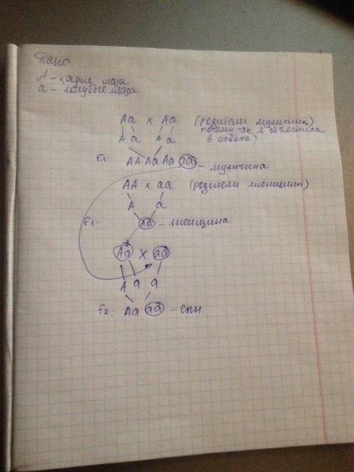 Голубоглазый мужчина, оба родителя которого имели карие глаза, женился на кареглазой женщине, у отца