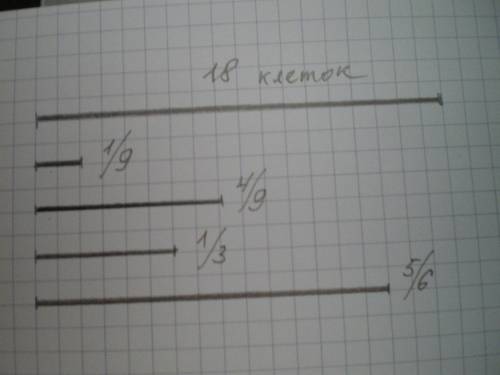 Начертите отрезок длиной 18 клеточек. начертить отрезки, равные 1/9 , 4/9, 1/3 ,5/6 данного отрезка.