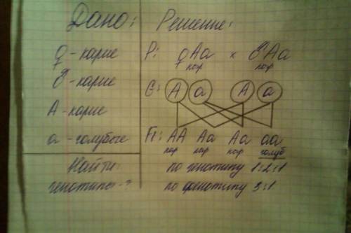 Уродителей, имеющих карие глаза, родился голубоглазый сын. определите генотипы всех упомянутых лиц,