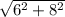 \sqrt{ 6^{2}+ 8^{2} }