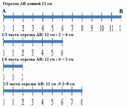 Начертите отрезок ab длиной 12 см. под ними начерти отрезок равный 1/2 части отрезка ab 1/6 части от