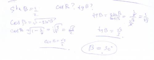 Синус угла b равен 1/2. найти косинус и тангенс