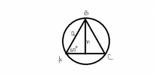Около правильного треугольника авс описана окружность , длина дуги ав равна 2 п (пи) найдите длину о