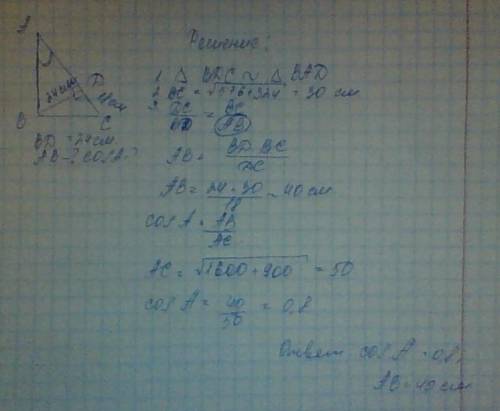 Высота вд прямоугольного треугольника авс равна 24 см и отсекает от гипотенузы отрезок дс, равный 18
