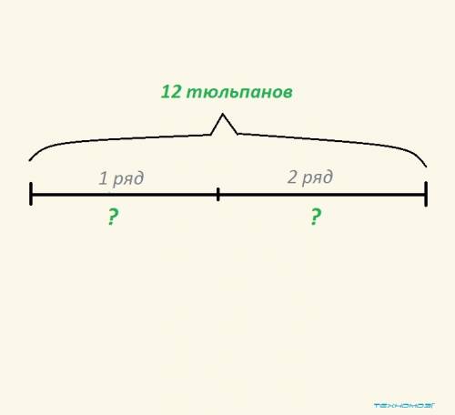 Сделай к каждой схематический рисунок и запиши решение. посадили 12 тюльпанов в 2 ряда поровну. скол