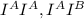 I^{A} I^{A}, I^{A} I^{B}