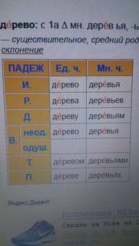 Просклонять слова как части речи . старая ,дерево,весной