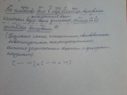 Все семейство было в сборе и лисица свернувшись комочком возле своих детёнышей обняла их и принялась