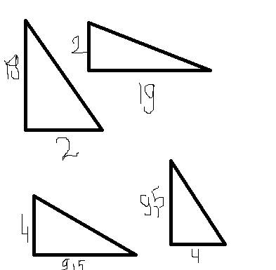 Начертите прямоугольный треугольник с площадью 19 см в кв