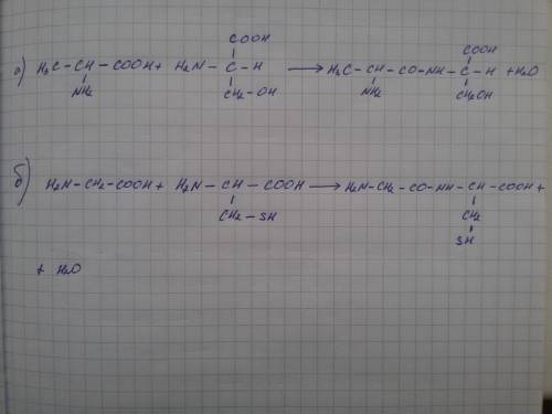 Изобразить схемы образования дипептидов: а) аланин - сирин б) глицин - цистеин