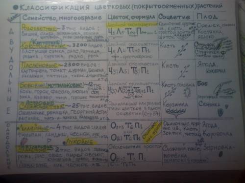 Корневая система у семейства пасленовых? /p>