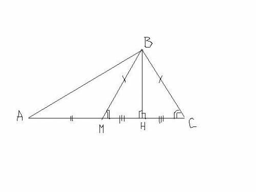 Втреугольнике авс отрезок вм медиана и вн высота. известно,что ас=40 и вс=вм. найдите ан