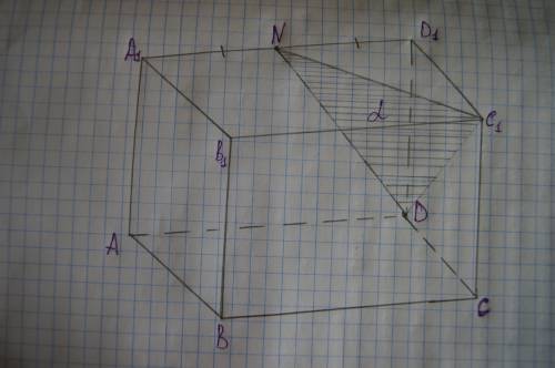 Изобразите параллелепипед abcda1b1c1d1 и постройте его сечение плоскостью, проходящей через точки d