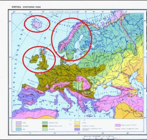 Всеверной европе какие природные зоны есть