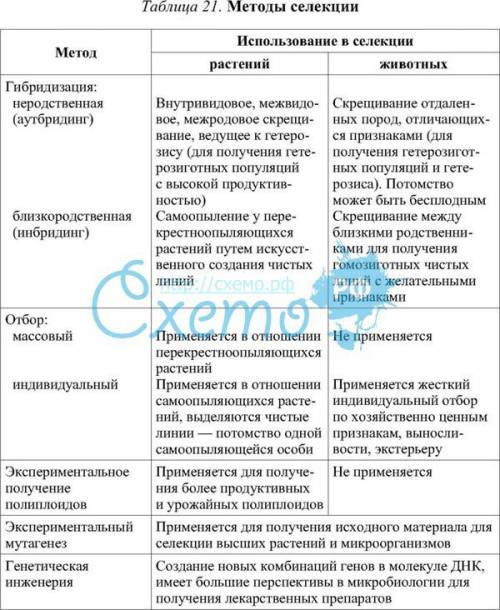 Методы селекции и на чем они основаны?