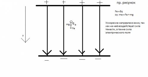 Напряженность электрического поля земли 148 в/м и направлена вертикально вниз. какое ускорение будет
