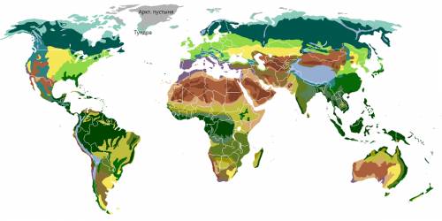 Какая природная зона расположена к северу от тундры? отметь правильный ответ. 1). тайга. 2). пустыня