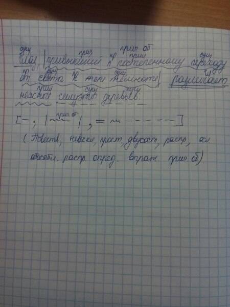 Глаз привыкший к постепенному переходу от света к темноте различает вокруг неясные силуэты деревьев