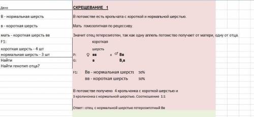 Укроликів нормальна довжина шерсті є домінантною ознакою, коротка-рецесивною. у кролиці з короткою ш