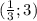 ( \frac{1}{3} ; 3)