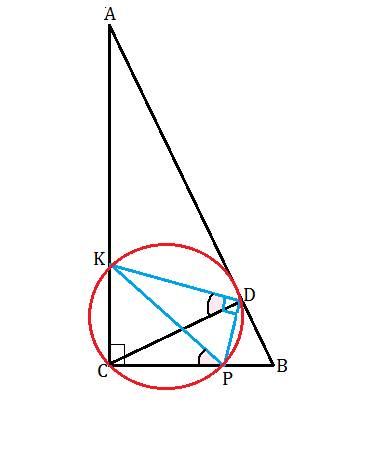 Решить! в прямоугольном ∆авс угол с =90 градусов, cd – высота, а один из катетов вдвое больше другог