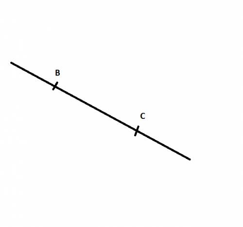 Проведите прямую.отметьте на прямой любые две точки и обозначьте их буквами b и c.1) сколько лучей п