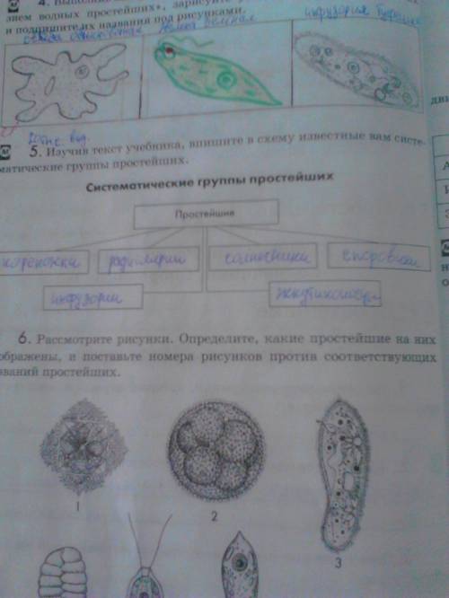 Биология рабочая тетрадь в.в.латюшина 7класс параграф 4 номера 1-3 и 5-7 киньте скрин