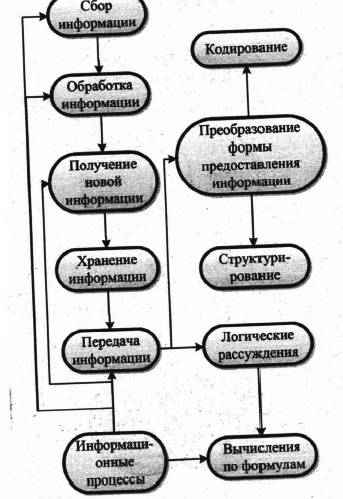 Постройте граф,отображающий отношения между следующими понятиями: информационные процессы,сбор инфор