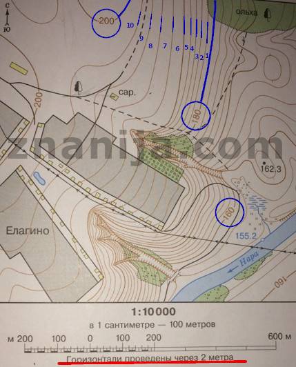 Определите через сколько метров проведены горизонтали на плане