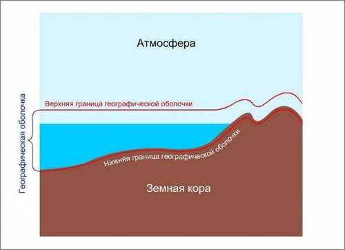 Каково строение оболочки ! только кратко