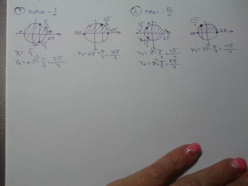 Найдите все принадлежащие отрезку [0; 3п] корни уравнения: 1) соs x= 1/2 3)cos x =- корень 2/2