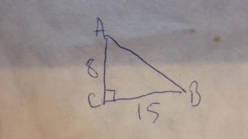 Втреугольнике авс известно, что ас=8, вс=15, угол с равен 90градусов. найти радиус описанной окло эт