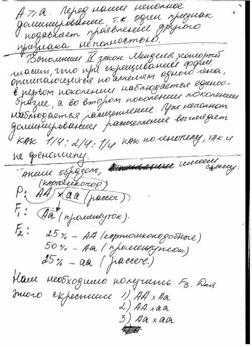 Упевних сортів томатів картоплеподібне листя є домінантной ознакой а розсічене листя рецесивна ознак