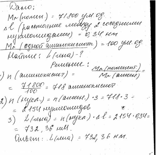 Молекулярна маса поліпептиду 71800 умовних одиниць визначіти довжину гену