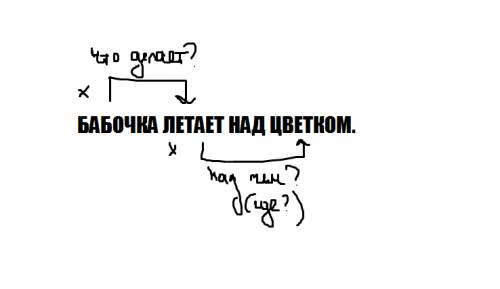 Покажи графически от какого слова к какому ставятся вопросы бабачка летает над цветком