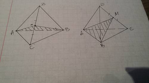 Точка m- середина ребра cd тетраэдра abcd. постройте сечение тетраэдра плоскостью, проходящей через